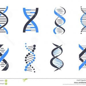 300x300 Vector Illustration Of A D Gold And Silver Dna Double Helix