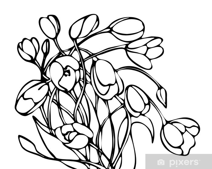700x559 Graphic Black And White Vector Drawing Bouquet Tulips Wall Mural