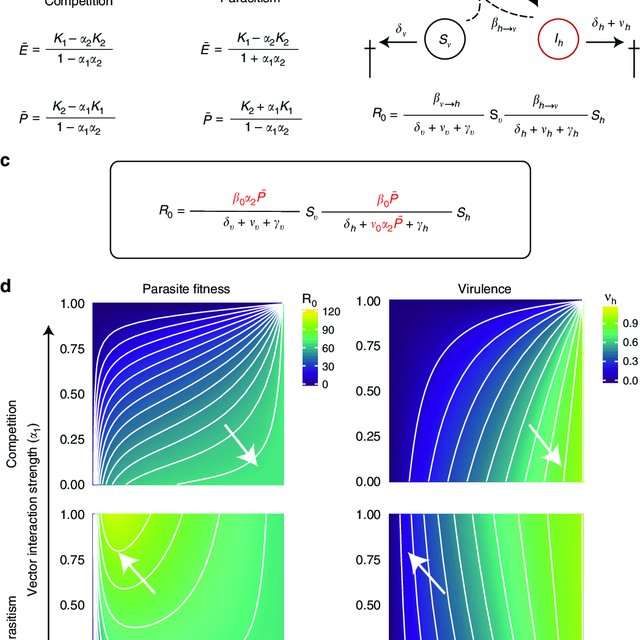 640x640 Within Vector Dynamics Affect The Evolution Of Within Host
