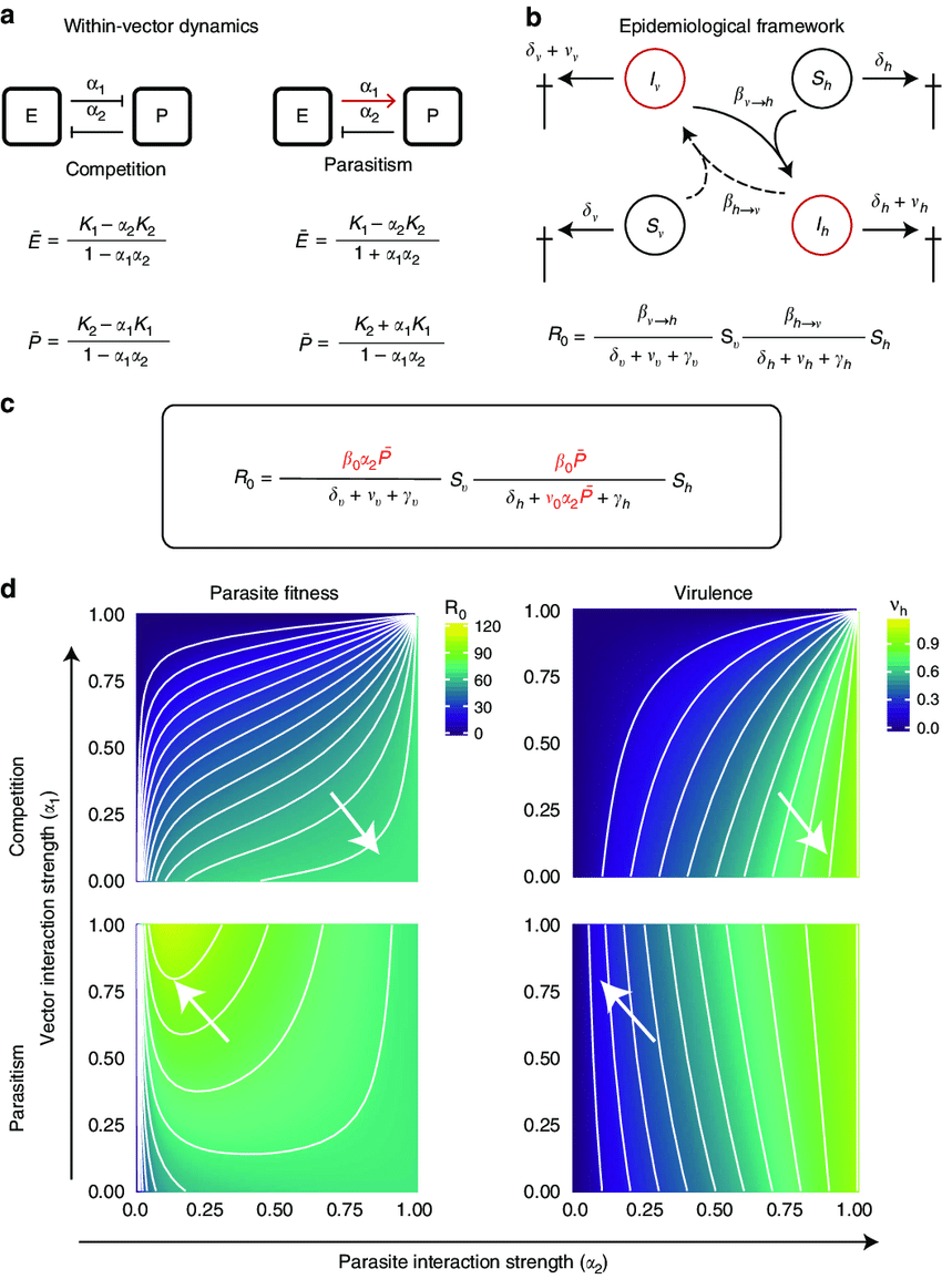 850x1154 Within Vector Dynamics Affect The Evolution Of Within Host