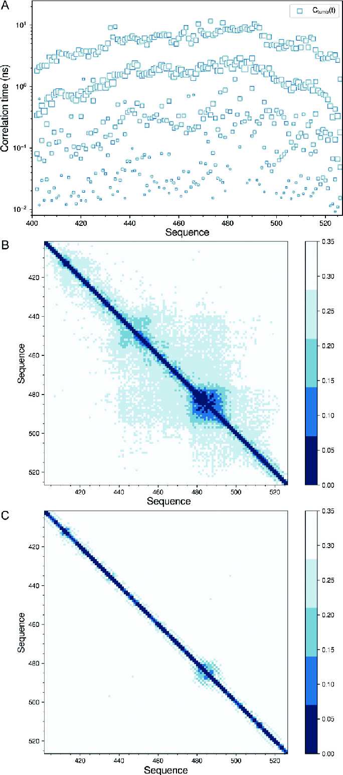 684x1544 Dynamic Segments In Nt At Umbling Of Peptide Planes, Probed