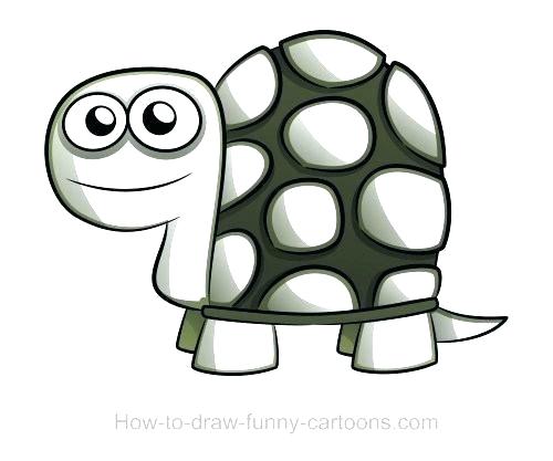 500x417 Drawing Of Turtle