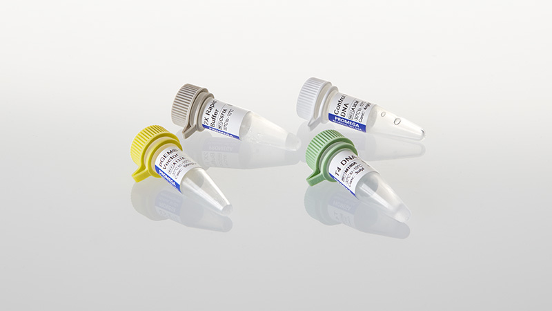 800x450 T Easy Vector Systems