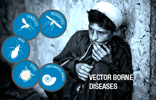 310x200 Who Vector Ecology And Management