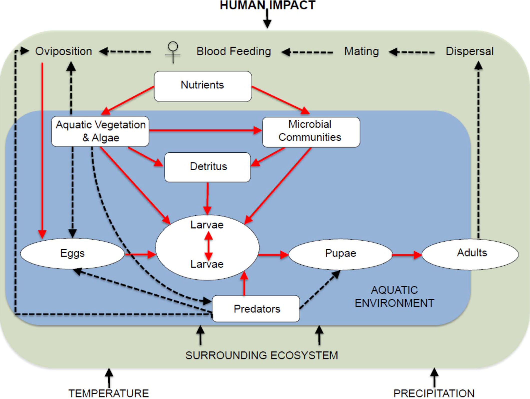 2118x1596 Ecology Of Larval Habitats Intechopen