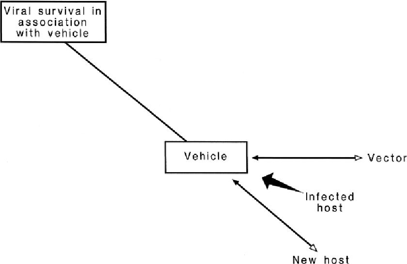 840x546 Figure From Chapter Defining The Ecology Of Viruses