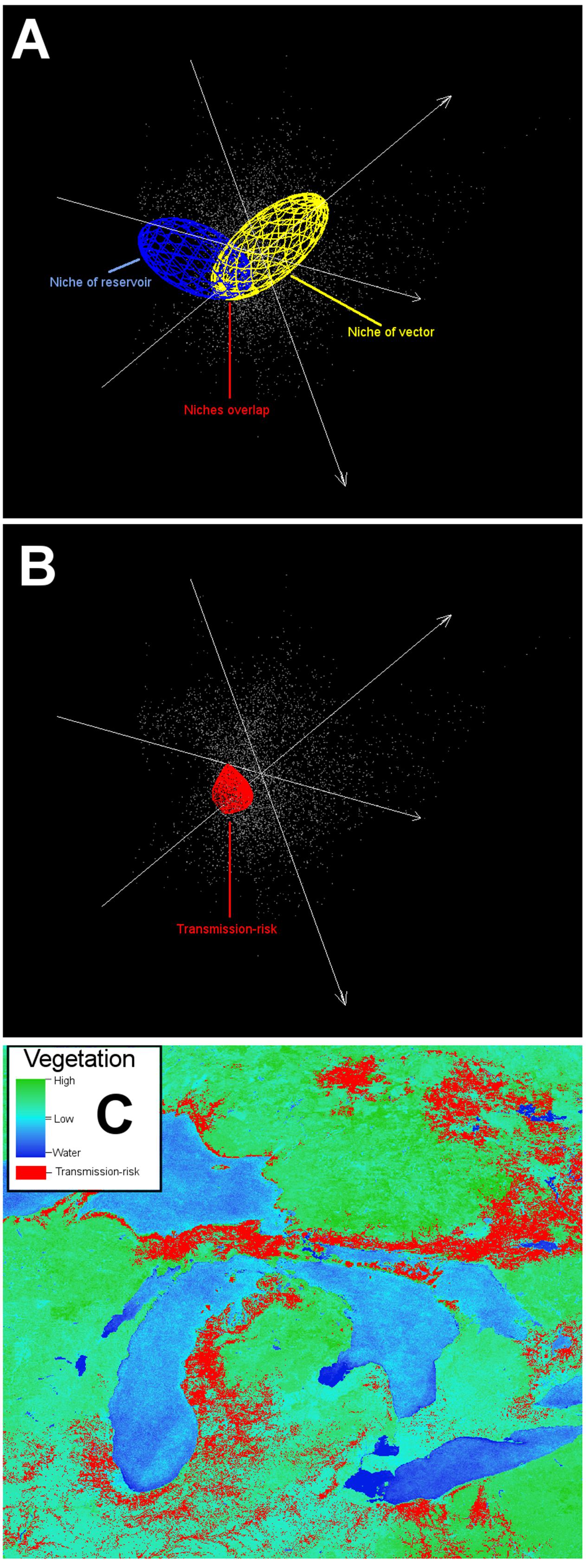 1263x3379 Frontiers Advances And Limitations Of Disease Biogeography Using
