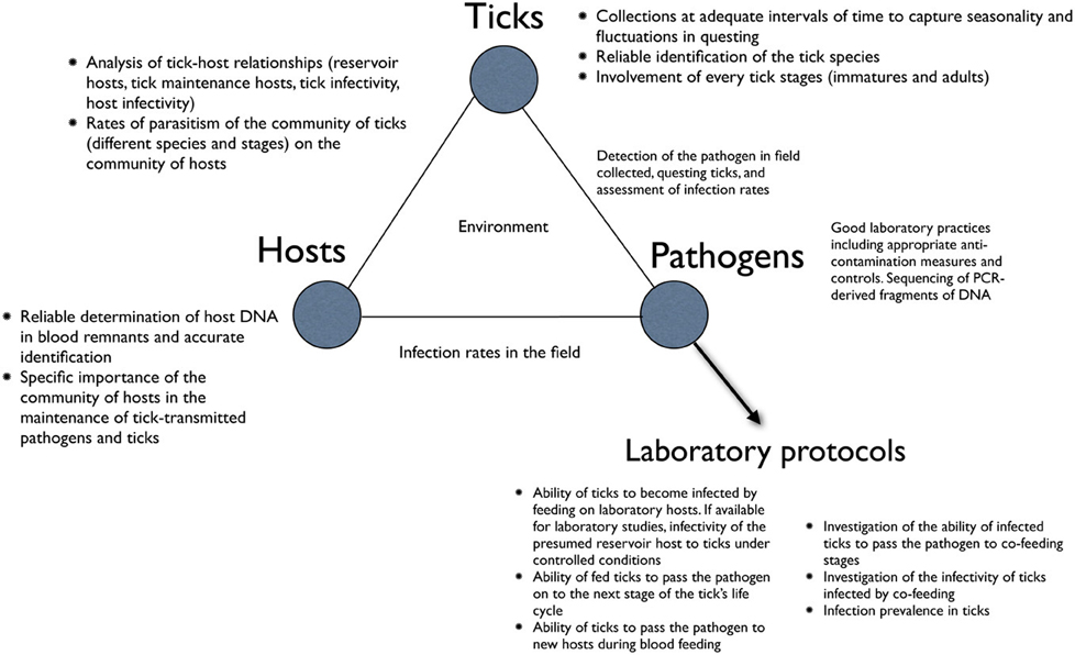 978x596 Frontiers Research On The Ecology Of Ticks And Tick Borne