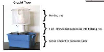 400x203 Vector Ecology And Surveillance Brian Altonen, Mph, Ms
