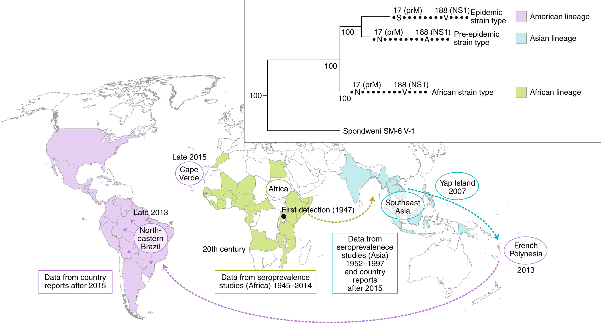 2102x1130 Vector Borne Transmission And Evolution Of Zika Virus Nature