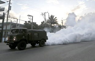 310x200 Who Vector Ecology And Management