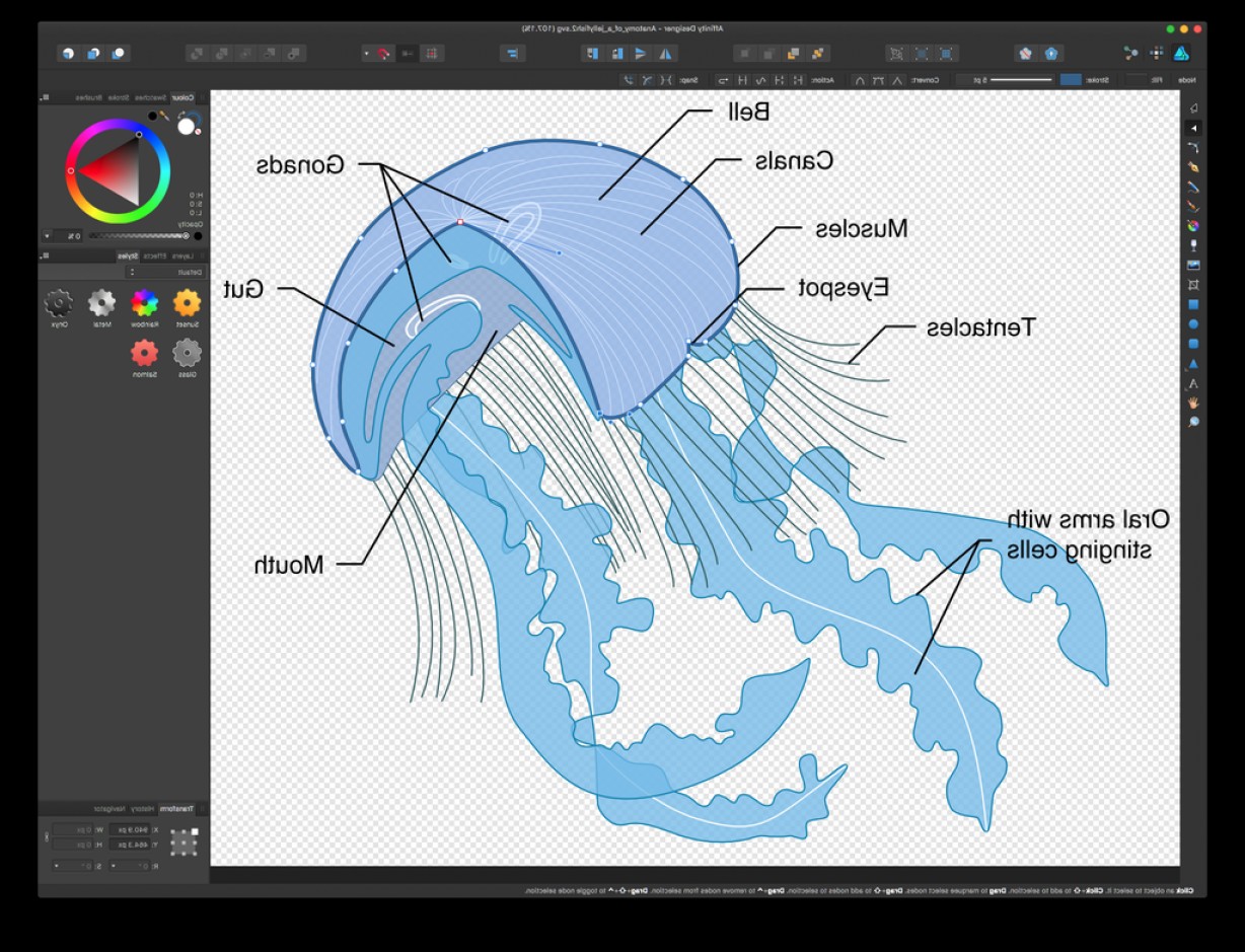 inkscape portable install inkscape portable install