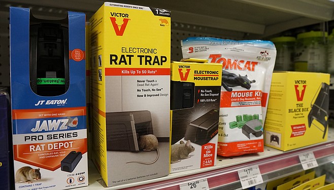 658x375 San Diego Rat Tales San Diego Reader