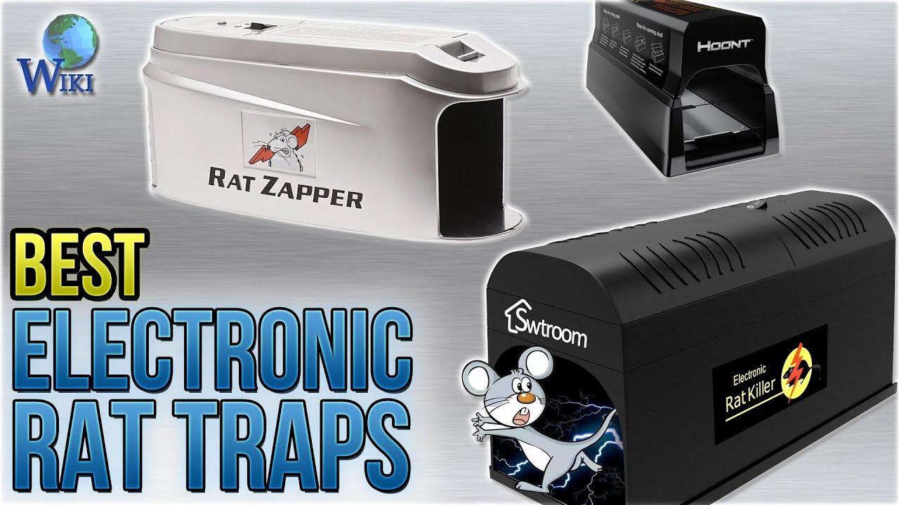 1280x720 Best Electronic Rat Traps