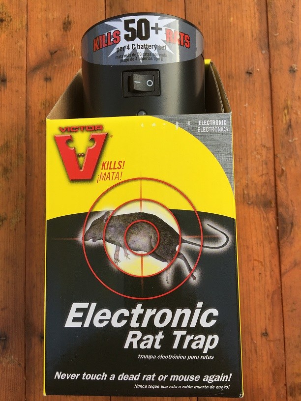 612x816 Best Rat Traps That Work! How To Safely Set, Bait And Use