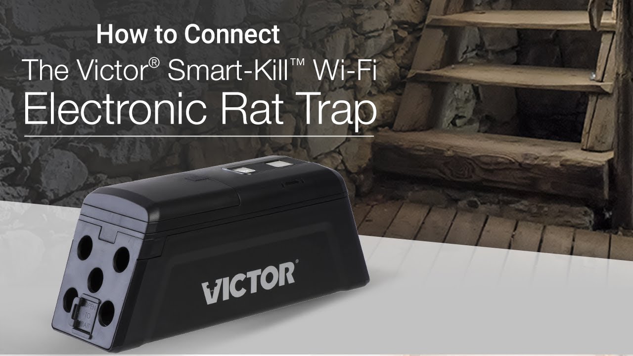 1280x720 How To Connect The Smart Kill Wi Fi Electronic Rat Trap