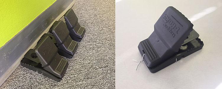 751x303 How To Set Rat Traps