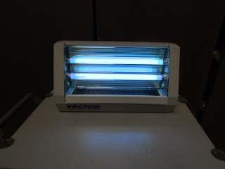 320x240 Rasmus Auctioneers