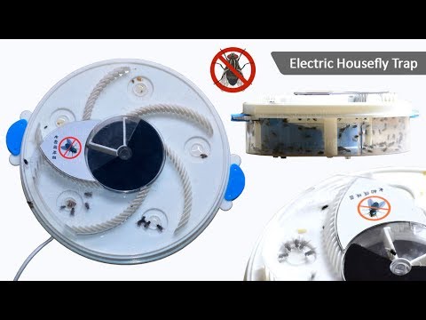480x360 Electronic Housefly Trap