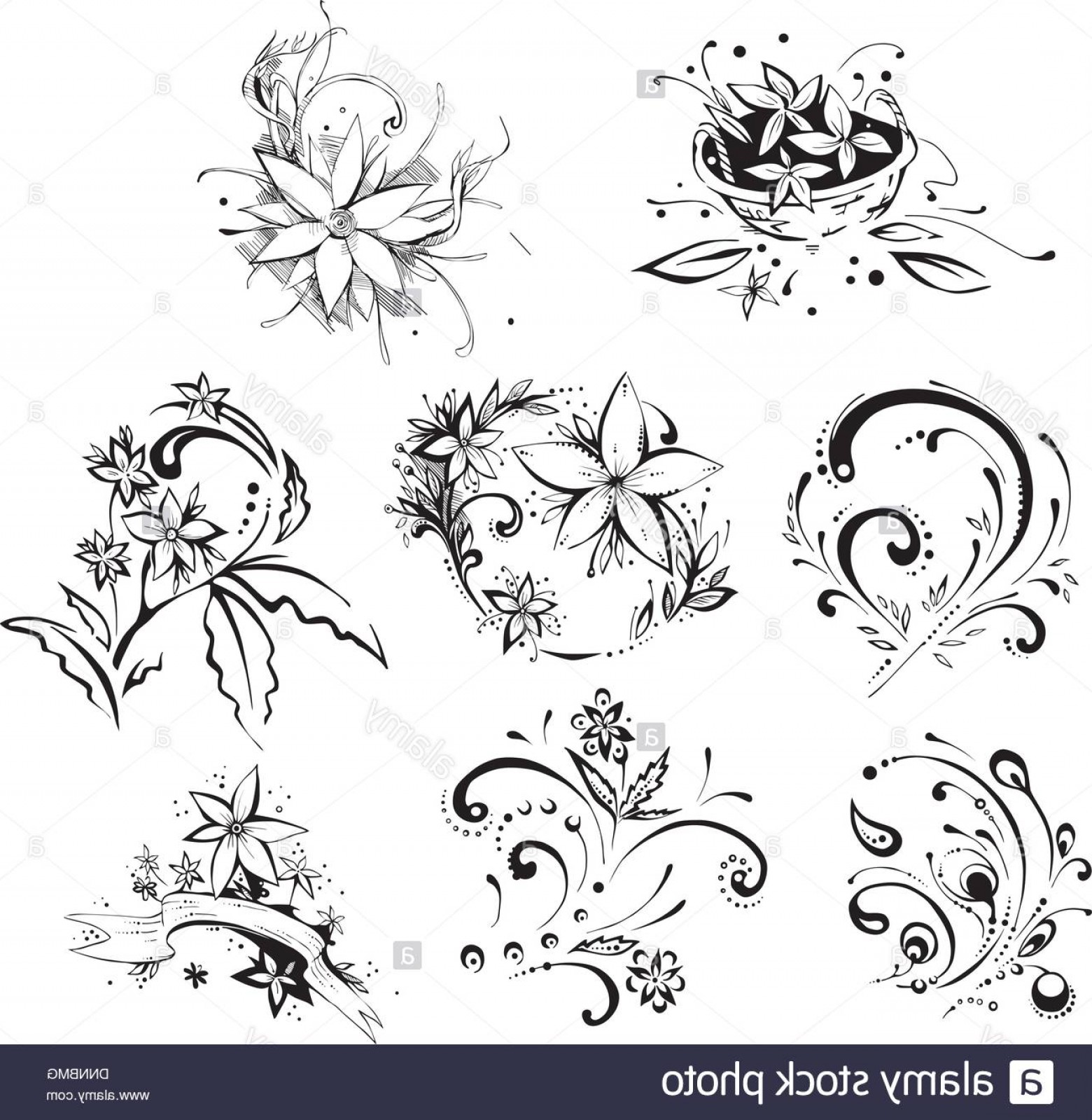 1560x1599 Stock Photo Stylistic Flower Embellishments Vector Set Soidergi