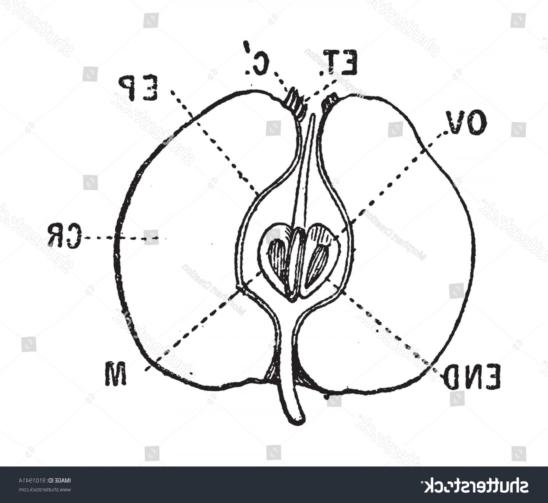 1800x1652 End Of Section Vector Geekchicpro