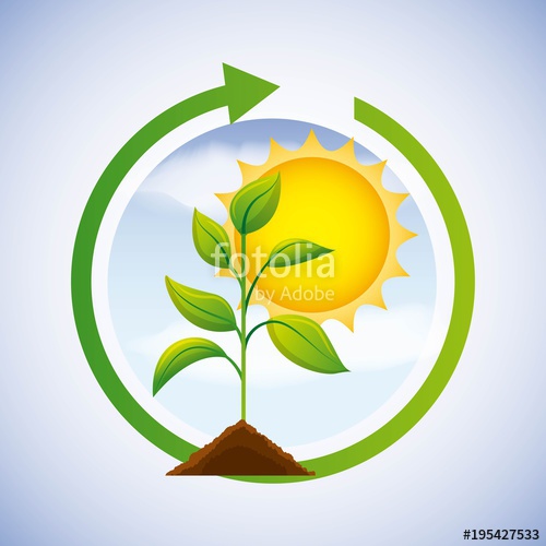 500x500 Energy Clean Solar Sun Plant Renewable Vector Illustration Stock