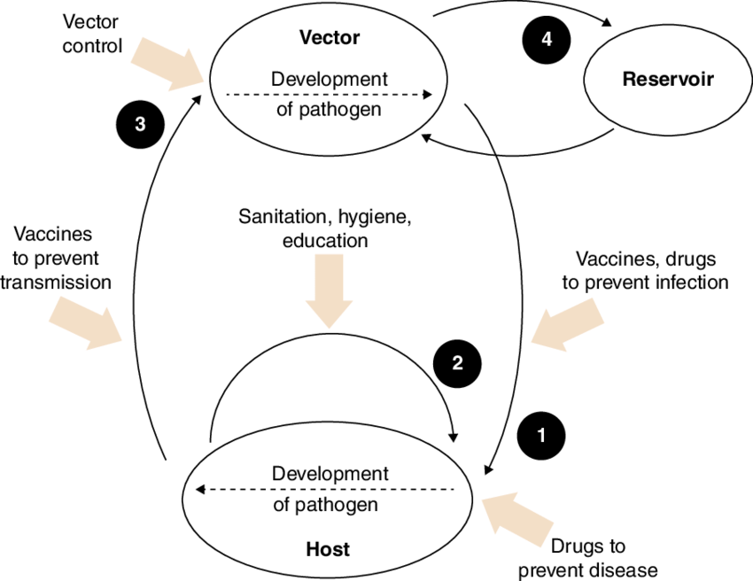 850x656 Role Of Epidemiology Research In Prevention And Control