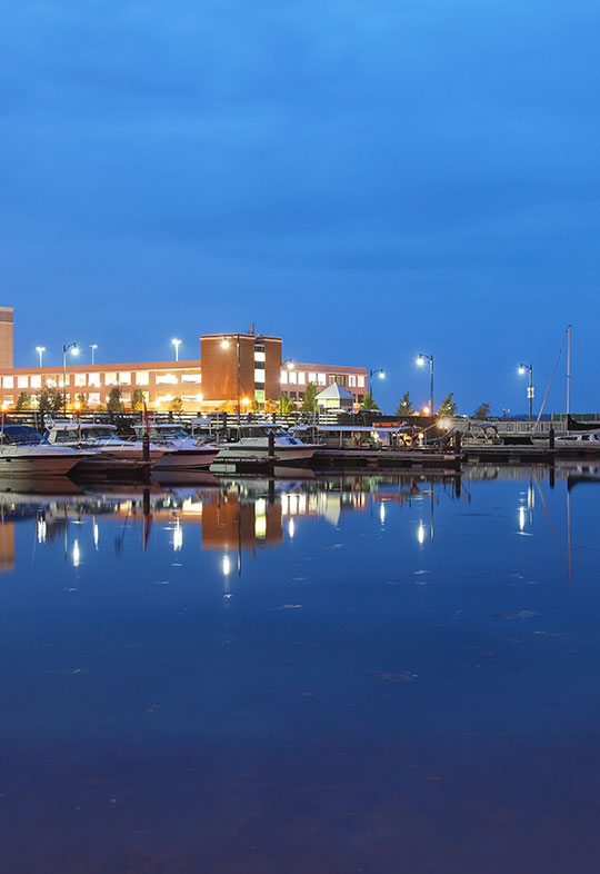 540x786 Erie Western Ny Home Security Vector Security