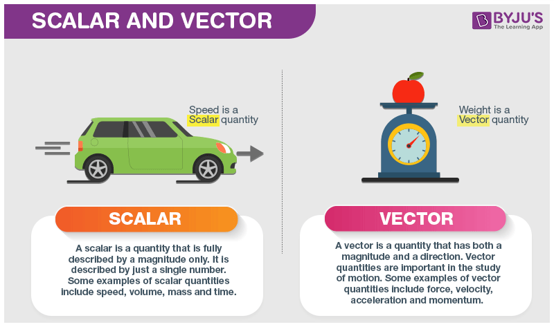 800x473 Scalar And Vector