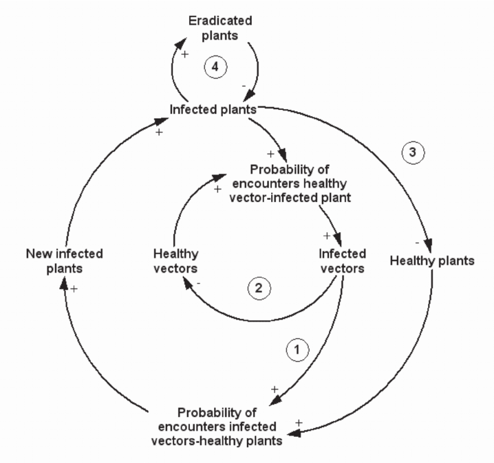 Diagram Of Causes Of The System Plant Vector Disease 718x674 Diagram Of Causes Of The System Plant Vector Disease