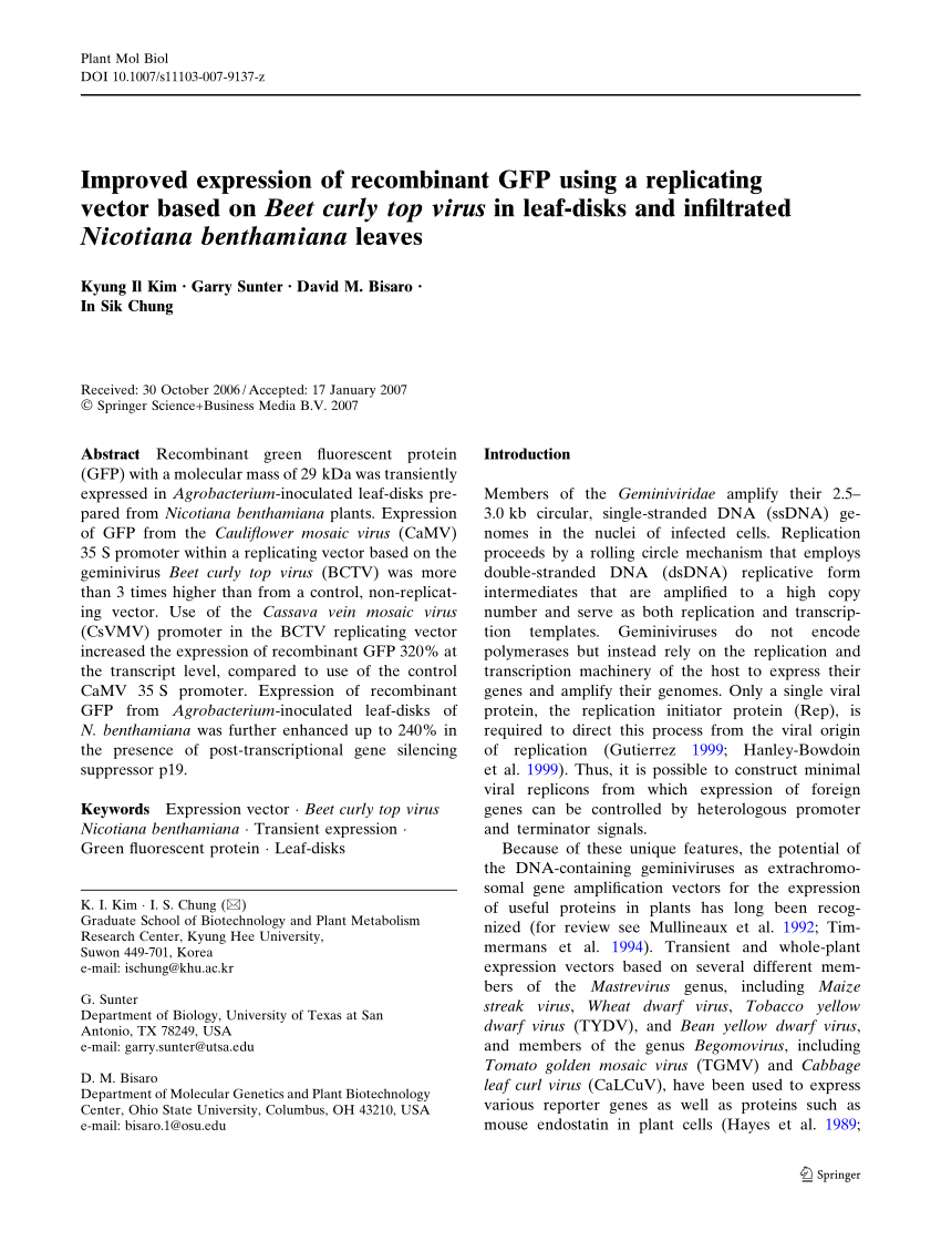 Pdf Improved Expression Of Recombinant Gfp Using A Replicating 850x1129 Pdf Improved Expression Of Recombinant Gfp Using A Replicating
