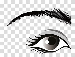 300x226 Eye Png Clipart Images Free Download Pngguru