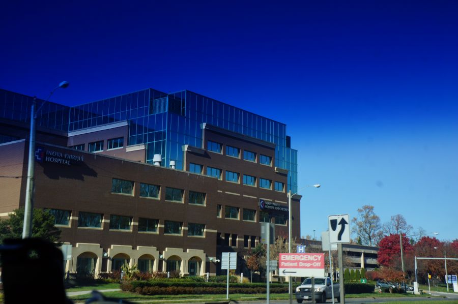 900x598 Download Vector