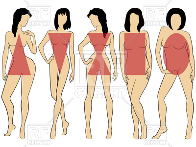 400x300 Set Of Types Of Women Figures Vector Image Of People Natareal