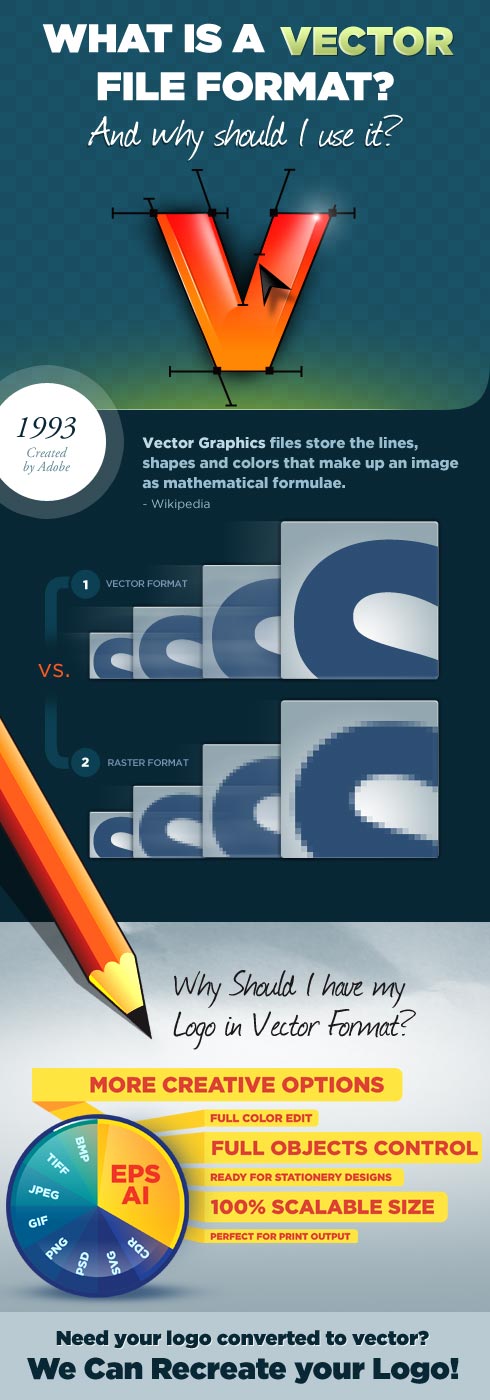490x1400 Infographic What Is A Vector Format Paperstreet