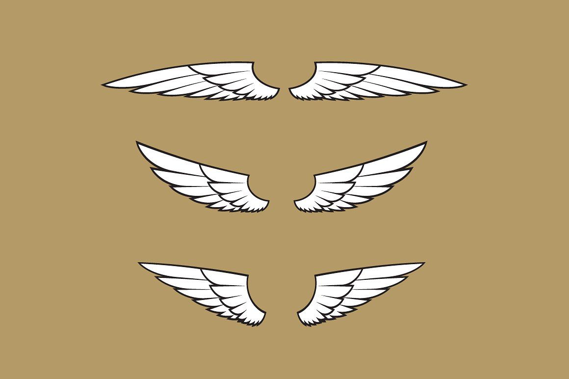 1160x772 Pairs Of Vector Wings