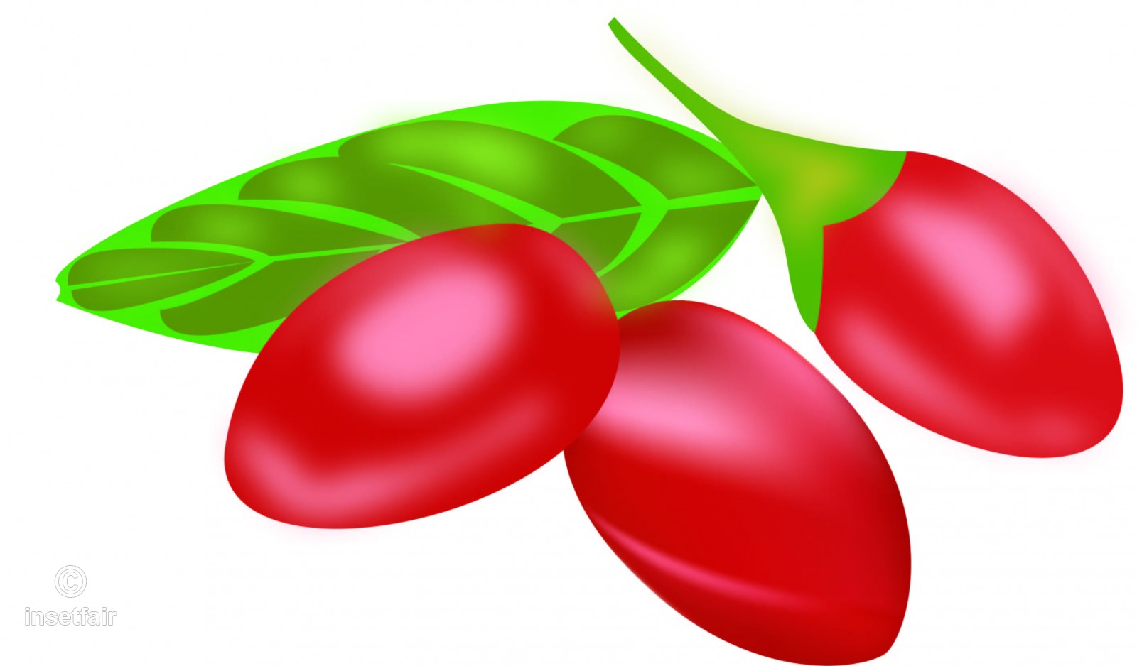 1600x938 Goji Berry Fruits Free Download Vector Illustration Png