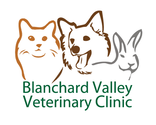 540x432 Blanchard Valley Veterinary Clinic