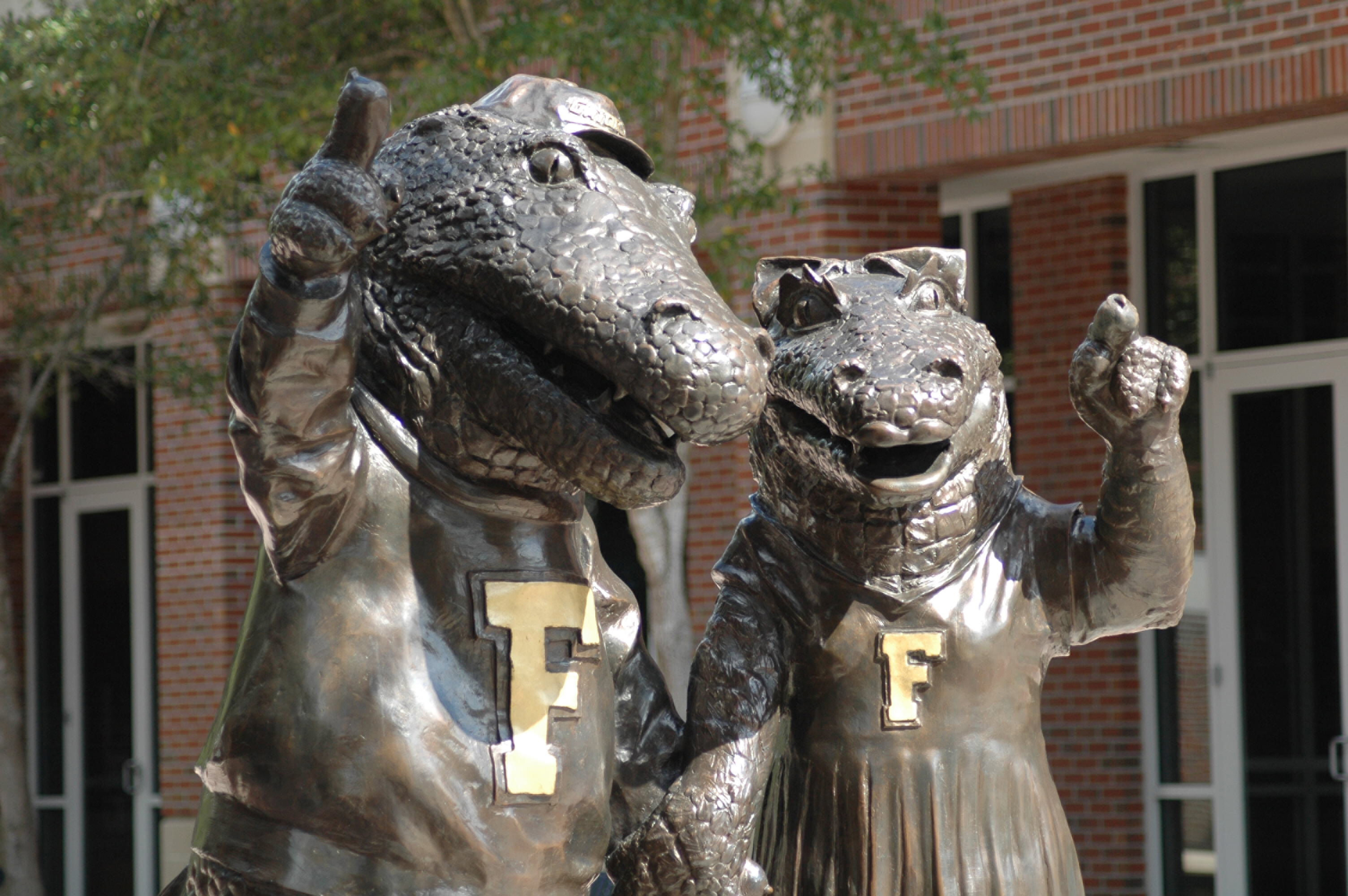 3008x2000 Vector Firm News