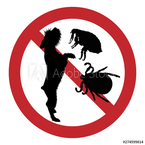 Vector Illustration Of Flea And Tick Ban Mark On A White 500x500 Vector Illustration Of Flea And Tick Ban Mark On A White