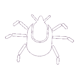 Vectra 261x261 Vectra