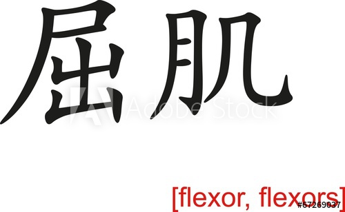 500x308 Chinese Sign For Flexor, Flexors