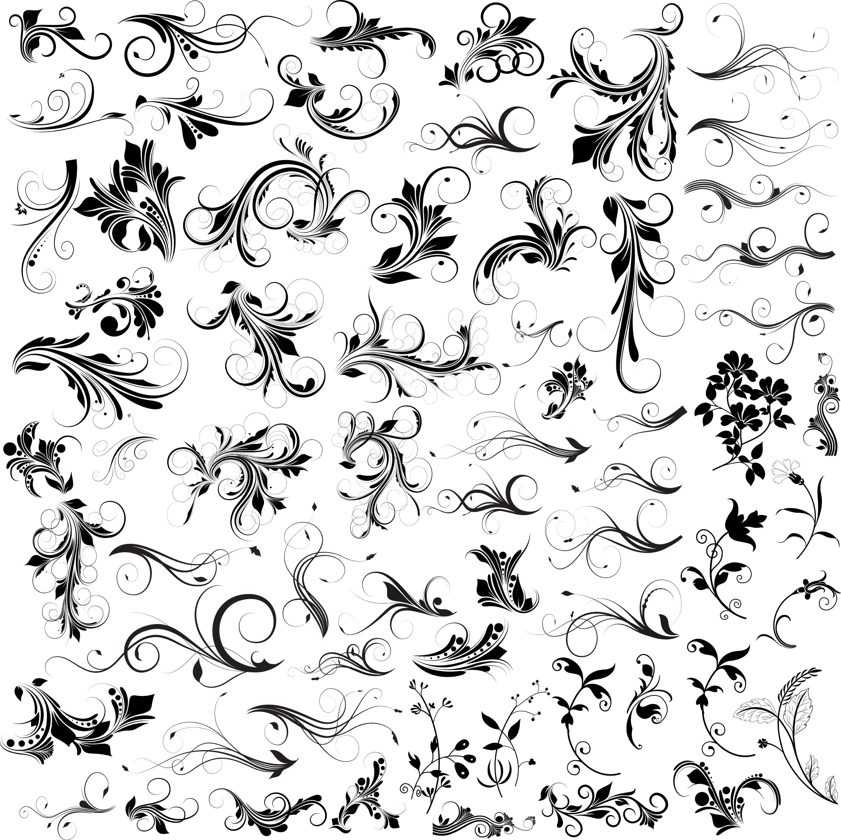 2706x2700 Ornament Vector Flourish Set Photoshop Graphics Vector Practice