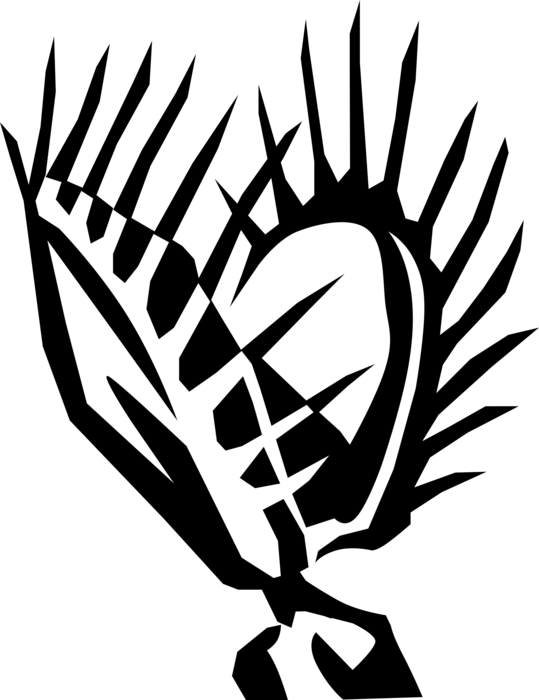 539x700 Venus Fly Trap Carnivorous Plant