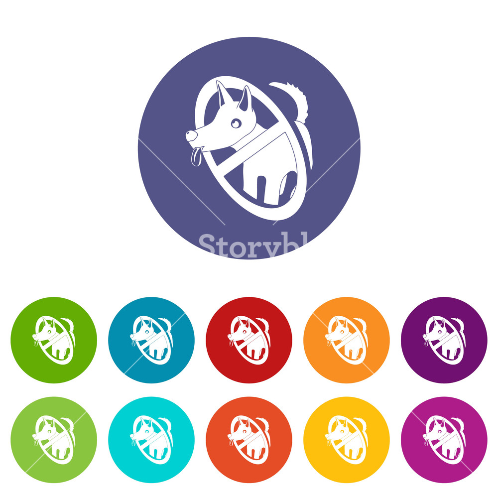 1000x1000 No Dogs Icons Color Set Vector For Any Web Design On White