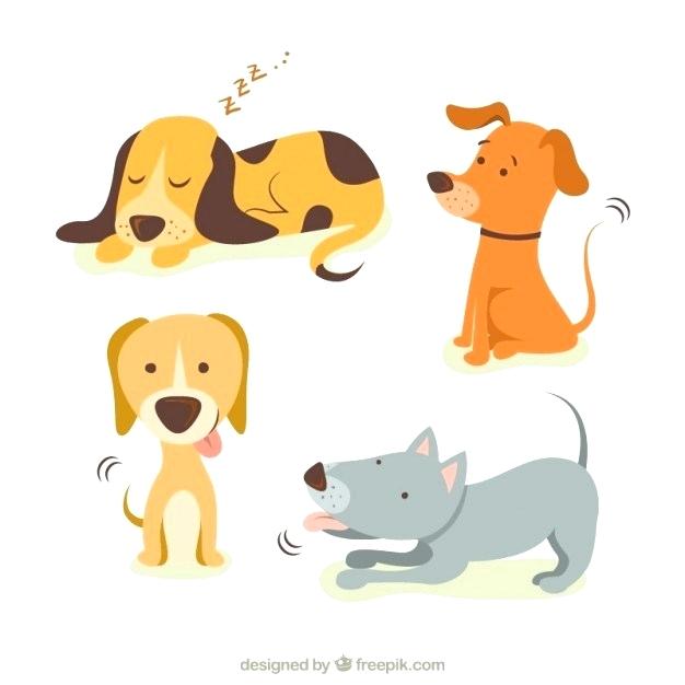 626x626 Cute Dogs For Free Luxuryedition