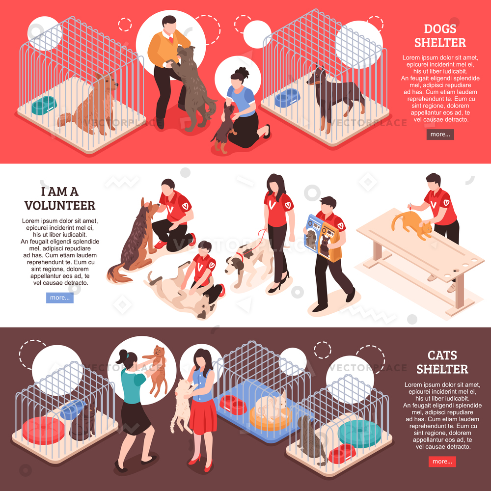 1000x1000 Animal Shelter For Dogs Cats Work Vector Illustration