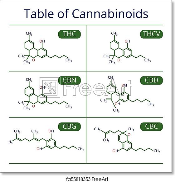 561x581 Free Art Print Of Cannabis Skeletal Cbd Formula Marijuana