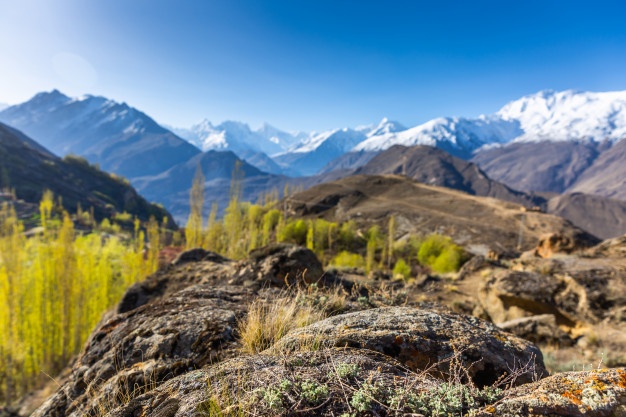 626x417 Fort Collins Vectors, Photos And Free Download