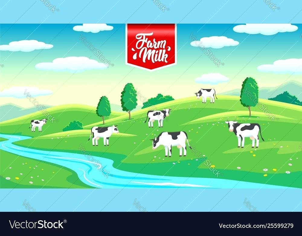 1000x780 Meadows Farms Landscaping